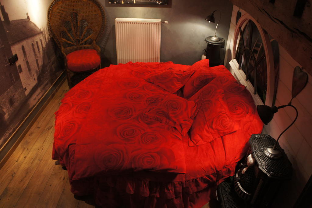 โอ โลฌี เดอ ลา ซอลร์ Bed & Breakfast Ferriere-la-Petite ห้อง รูปภาพ